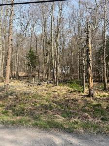 Lot 719 Elk Run Road, Tobyhanna, Pennsylvania 18347, Stati Uniti