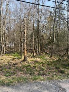 Lot 719 Elk Run Road, Tobyhanna, Pennsylvania 18347, Stati Uniti