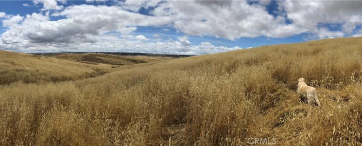 3740 Gruenhagen, Paso Robles, California 93446, USA