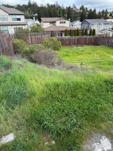 2073 Stagecoach Road, Santa Rosa, California 95404, USA