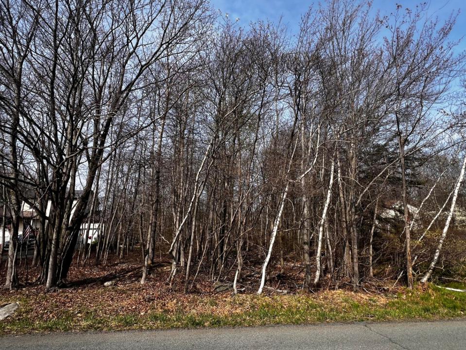 Lot 5420 Clearview Drive, Long Pond, Pennsylvania 18334, Estados Unidos