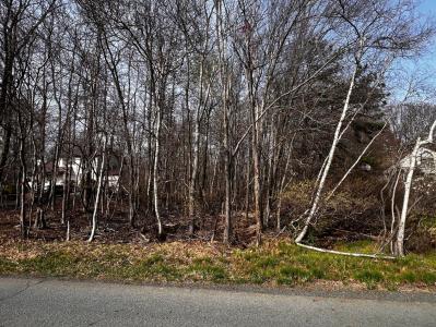 Lot 5420 Clearview Drive, Long Pond, Pennsylvania 18334, Estados Unidos