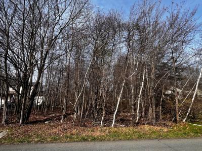 Lot 5420 Clearview Drive, Long Pond, Pennsylvania 18334, Estados Unidos