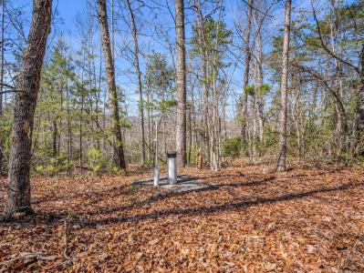 000 Forester Lane Lot 21, Mill Spring, North Carolina 28756
