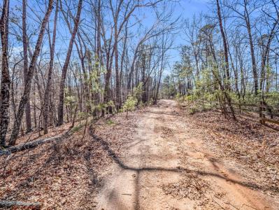 000 Forester Lane Lot 21, Mill Spring, North Carolina 28756