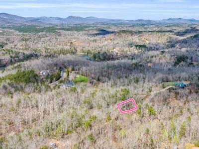 000 Forester Lane Lot 21, Mill Spring, North Carolina 28756