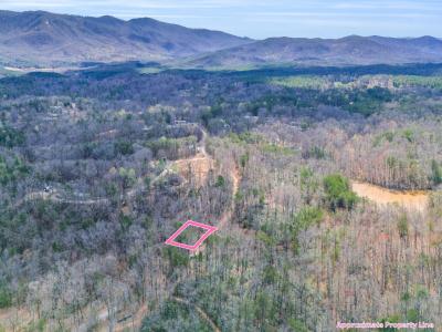 000 Forester Lane Lot 24, Mill Spring, North Carolina 28756