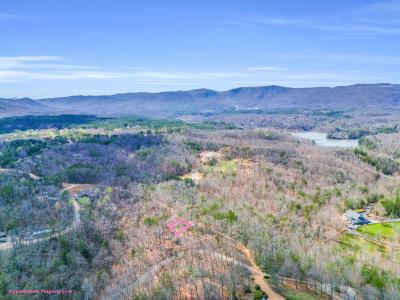 000 Forester Lane Lot 25, Mill Spring, North Carolina 28756