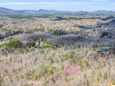 000 Forester Lane Lot 25, Mill Spring, North Carolina 28756