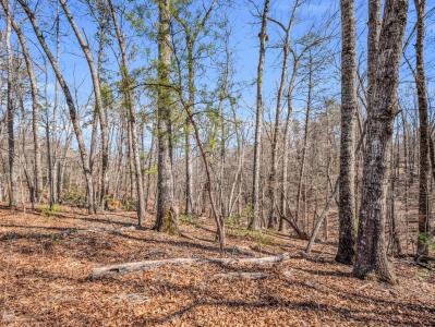 000 Forester Lane Lot 25, Mill Spring, North Carolina 28756