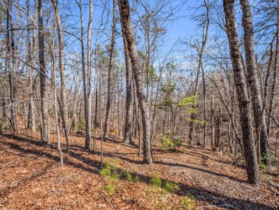 000 Forester Lane Lot 25, Mill Spring, North Carolina 28756