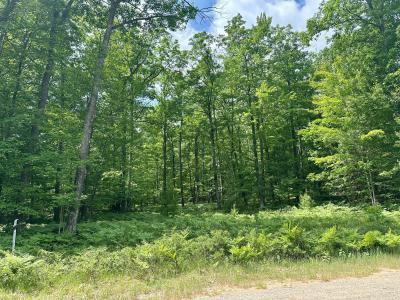 #55 Crystal Lane, Roscommon, Michigan 48653