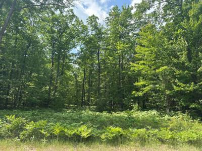 #55 Crystal Lane, Roscommon, Michigan 48653