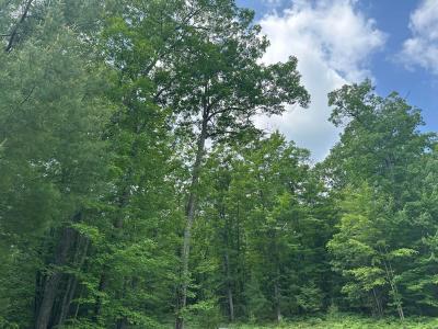 #55 Crystal Lane, Roscommon, Michigan 48653