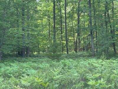#55 Crystal Lane, Roscommon, Michigan 48653