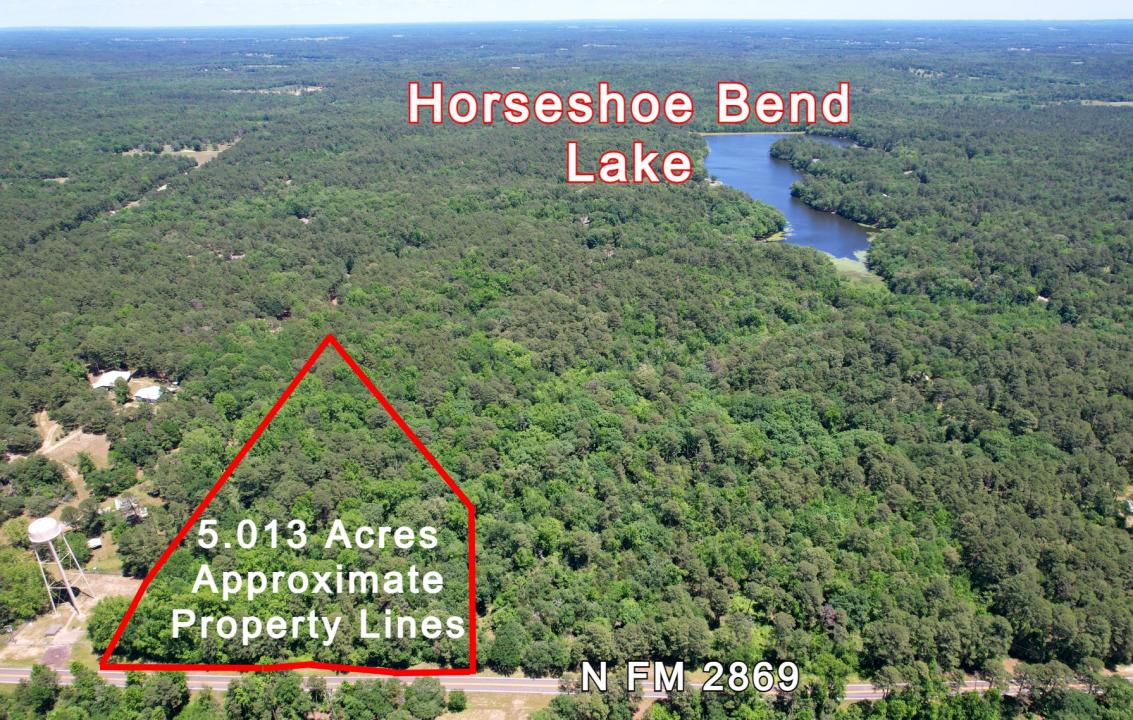 TBD N FM 2869, Winnsboro, Texas 75494, Estados Unidos