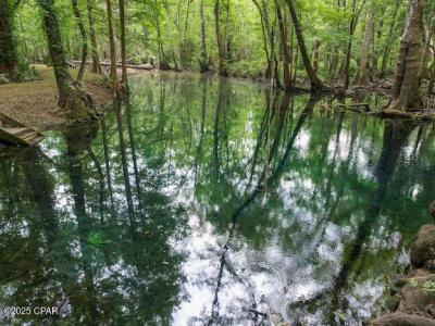 79 Highway, Vernon, Florida 32462, USA