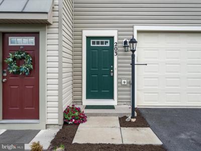 203 Starry Way Drive, Stephenson, Wirginia 22656, USA