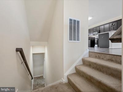 203 Starry Way Drive, Stephenson, Wirginia 22656, USA