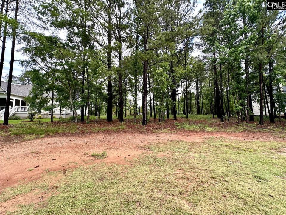 513 Misty Banks Drive, Chapin, Carolina Del Sur 29036, Estados Unidos