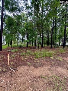 513 Misty Banks Drive, Chapin, Carolina Del Sur 29036, Estados Unidos