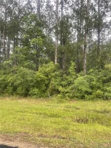 0 E Allen Drive E, Ragley, Louisiane 70657, États-Unis