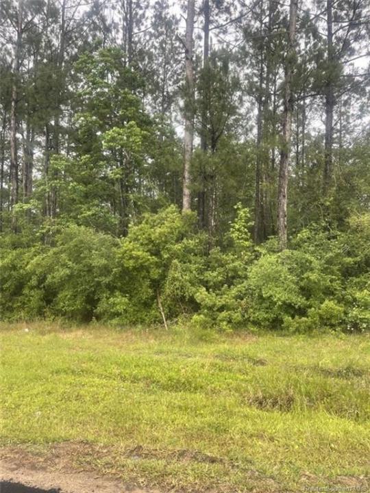 E Allen Drive E, Ragley, Louisiana 70657
