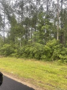 E Allen Drive E, Ragley, Louisiana 70657