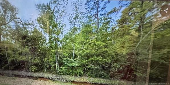0 Oak Lane, Ragley, 루이지아나 70657, 미국