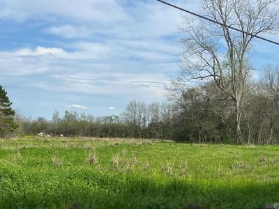 5232, 5252 Elm Grove Rd, Port Allen, Louisiana 70767, USA