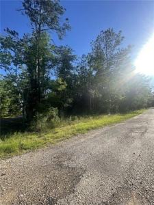 Ginger Lane, Ragley, Louisiana 70657