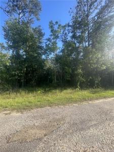 Ginger Lane, Ragley, Louisiana 70657