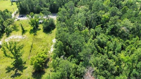 Brahman Drive, Ragley, Louisiana 70657, Stati Uniti
