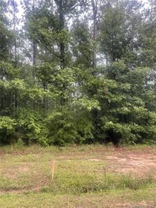 0 Ernest Drive, Ragley, Louisiane 70657, États-Unis