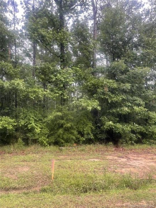 Ernest Drive, Ragley, Louisiana 70657