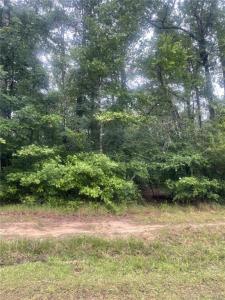 Ernest Drive, Ragley, Louisiana 70657