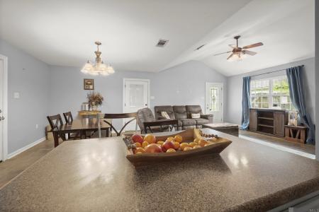 13322 Wildcat Dr, Walker, Louisiane 70785, États-Unis