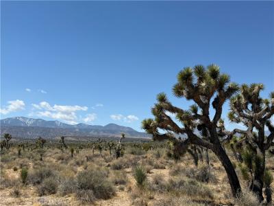 0 Ave Y8 & 233rd St E Avenue, Llano, California 93544