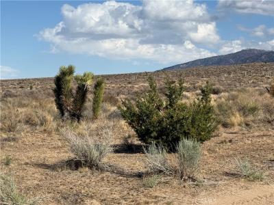 0 Ave Y8 & 233rd St E Avenue, Llano, California 93544