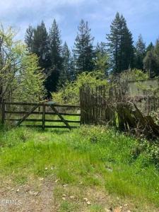 23501 Branscomb Road, Westport, California 95488, USA
