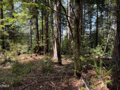 23501 Branscomb Road, Westport, California 95488