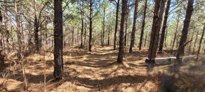 1 Saddleback Dr, Dover, Tennessee 37058, USA