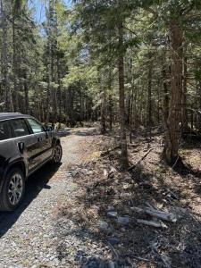 LOT 66 SUMMIT RIDGE ROAD, Windsor, Nova Scotia B0N 2T0, Canada