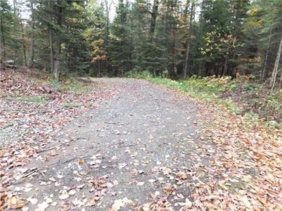 1646 KENNISIS LAKE ROAD, Dysart Et Al, Ontario K0L 1S0, Canada