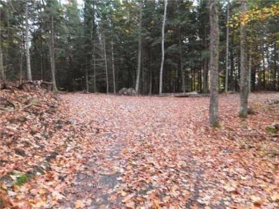 1646 KENNISIS LAKE ROAD, Dysart Et Al, Ontario K0L 1S0, Canadá