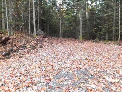 1646 KENNISIS LAKE ROAD, Dysart Et Al, Ontario K0L 1S0, Canadá
