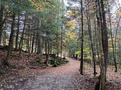 181 NORTH JORDAN LAKE ROAD, Tudor & Cashel, Ontario K0L 1W0, Kanada