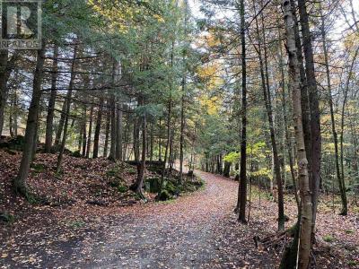 181 NORTH JORDAN LAKE ROAD, Tudor & Cashel, 온타리오주 K0L 1W0, 캐나다