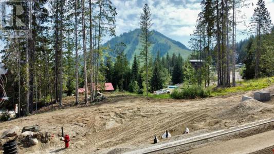 310 RIDGE ROAD, Rossland, 不列顛哥倫比亞省 V0G 1Y0, 加拿大