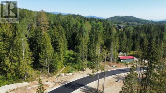 310 RIDGE ROAD, Rossland, 不列顛哥倫比亞省 V0G 1Y0, 加拿大